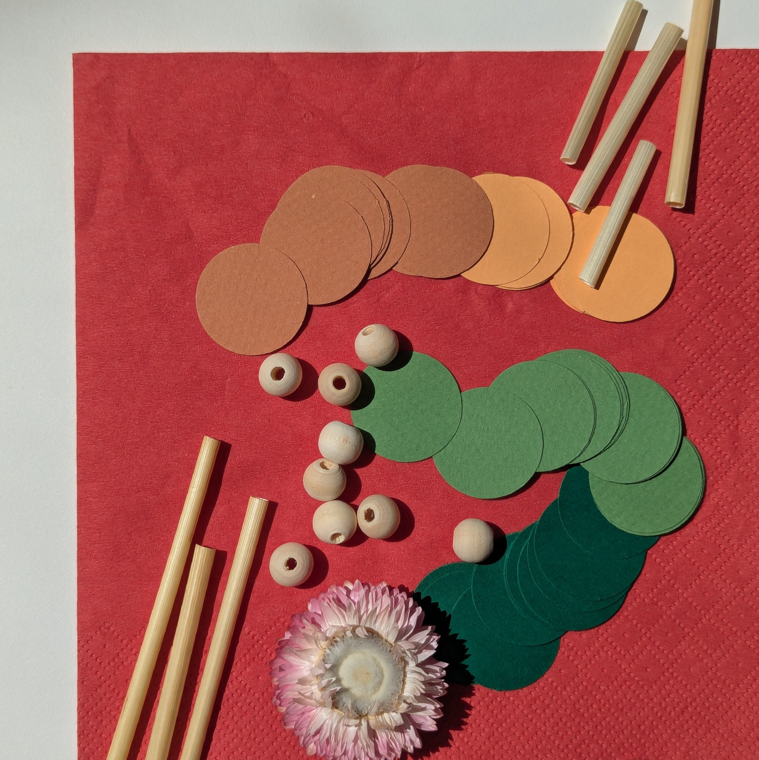 Materiały – paleta Matula